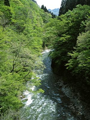 愛犬と一緒に泊まれる軽井沢の貸別荘