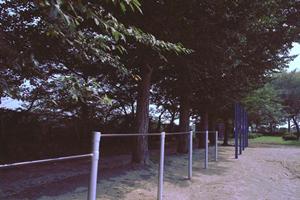 姶良市のクレーンゲーム徹底攻略ガイド2026年最新情報と勝つためのコツ