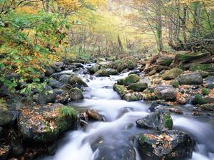 会津若松駅から徒歩2分の快適ビジネスホテル|東横INN会津若松駅前の魅力と特徴