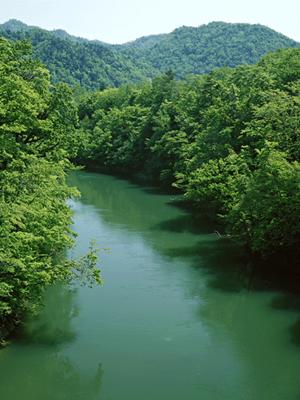 柏駅西口から徒歩2分!快適な滞在を提供する東横イン柏駅西口の魅力と特徴