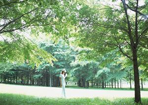 金沢の伝統を家族で楽しむ!初心者でも安心の金箔体験ガイド