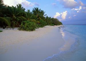 志木駅東口から徒歩3分の快適ビジネスホテル|東横INN志木駅東口の魅力と詳細情報