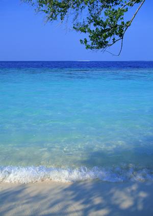 鶯谷駅前の快適ビジネスホテル|東横INN鶯谷駅前の魅力と特徴を徹底解説