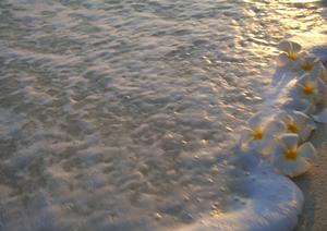 【公式情報から徹底解説】東横INN溜池山王駅官邸南:便利な立地と快適な滞在を実現するビジネスホテル